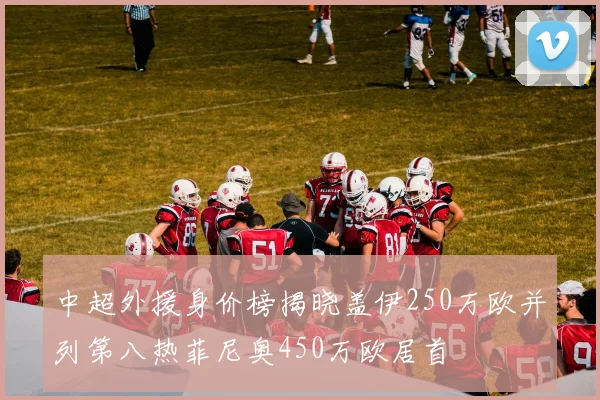 中超外援身价榜揭晓盖伊250万欧并列第八热菲尼奥450万欧居首