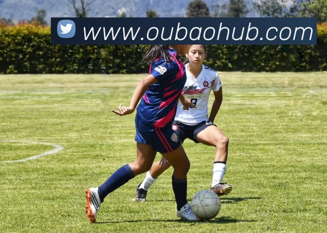 欧宝体育平台生态图