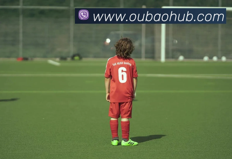 欧宝体育APP 封面图